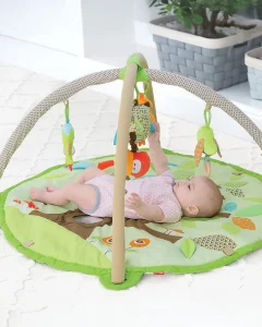 Skip Hop Baby Activity GYM